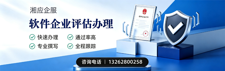 岳阳软件企业评估申报服务