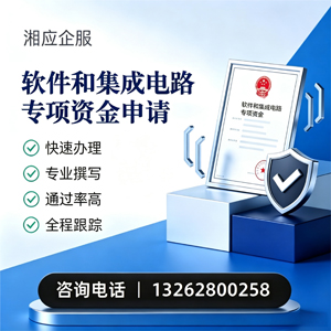 岳阳软件和集成电路专项资金申报服务