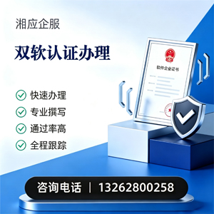 岳阳双软认证申报服务