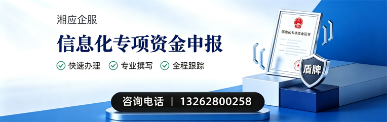 岳阳信息化专项资金申报服务