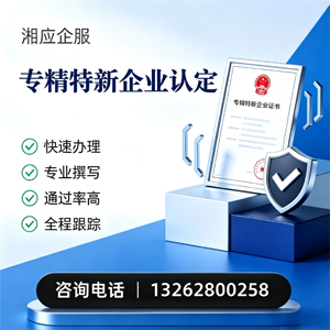 岳阳专精特新企业申报服务