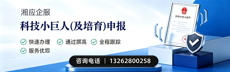 岳阳科技小巨人及培育企业申报服务