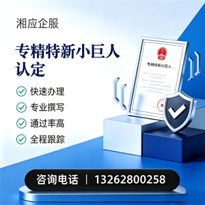 岳阳专精特新小巨人申报服务