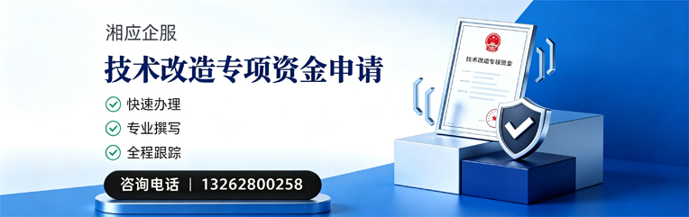 岳阳技术改造专项资金申报服务
