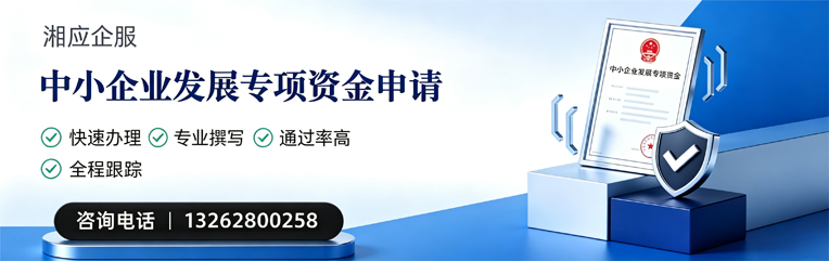 岳阳中小企业发展专项资金申报服务