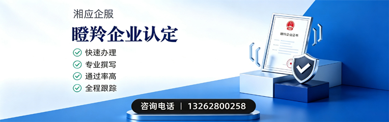 岳阳瞪羚企业认定申报服务