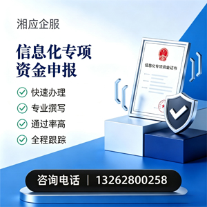 岳阳信息化专项资金申报服务