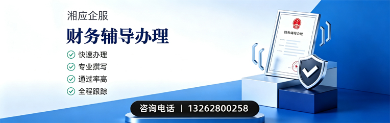 岳阳财务辅导申请服务