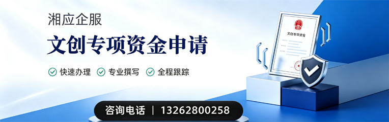 岳阳文创专项资金申报服务