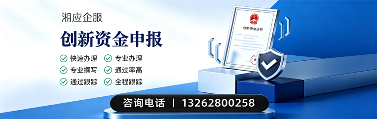 岳阳创新资金申报服务