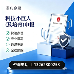 岳阳科技小巨人及培育企业申报服务