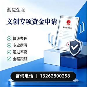 岳阳文创专项资金申报服务