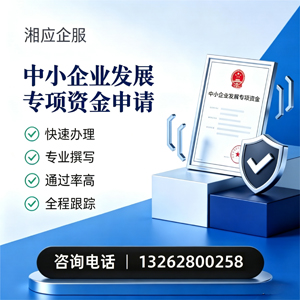 岳阳中小企业发展专项资金申报服务