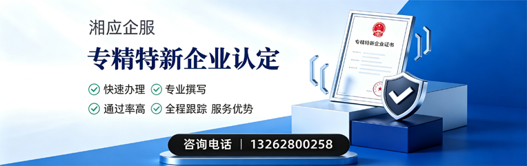 岳阳专精特新企业申报服务