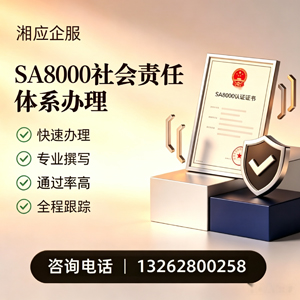 岳阳SA8000社会责任体系认证服务