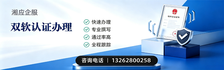 岳阳双软认证申报服务