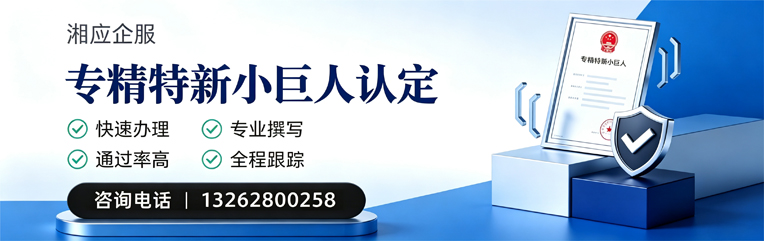 岳阳专精特新小巨人申报服务